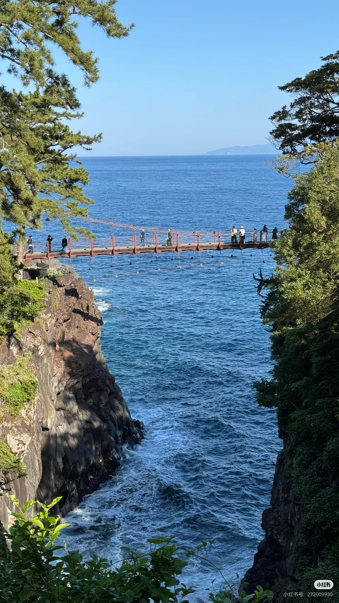 城崎海岸 样张1