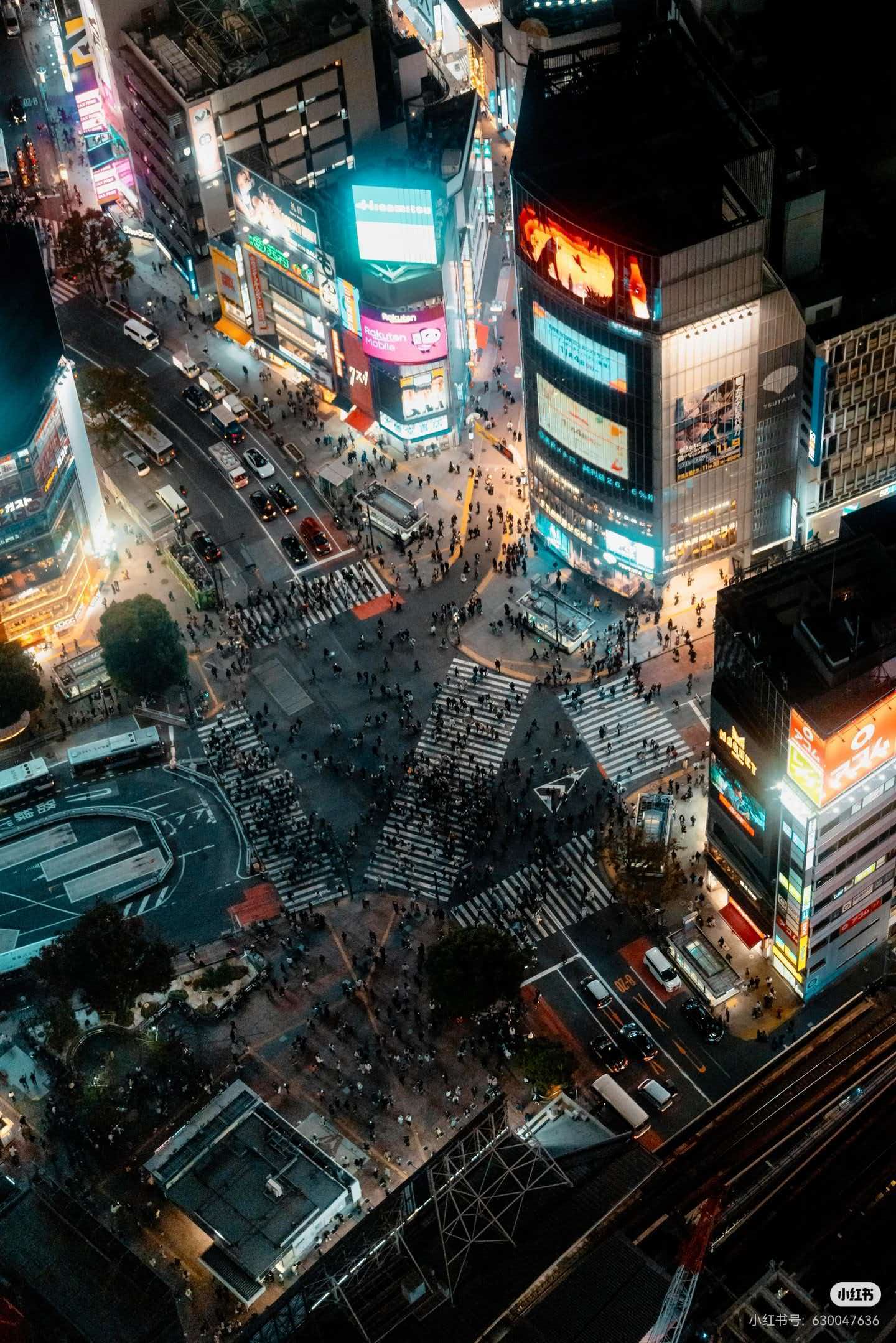 涩谷 样张9